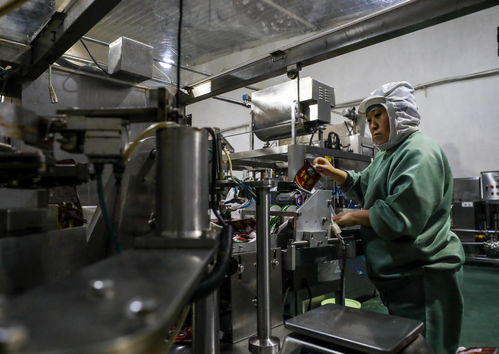 新春伊始生產忙