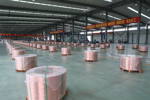 博羅 搶抓重大機遇 奮力邁進縣域高質量發展第一方陣