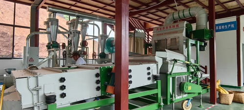 蕎花開(kāi)了 盛夏臨滄又多了一個(gè)玩處